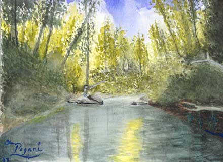Oregon Series: Fishing The Tillamook