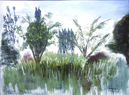 Old Orchard At Misty